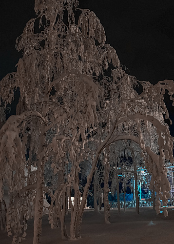 New year Snow Time 2025