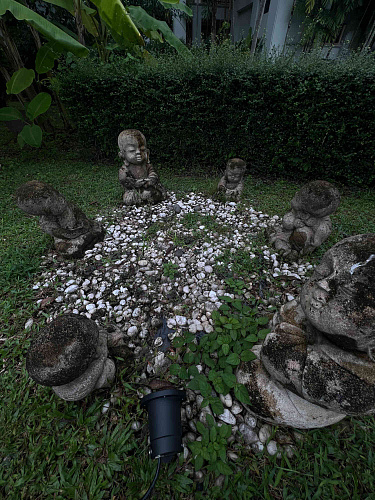 Flirt Summit THAILAND 2022