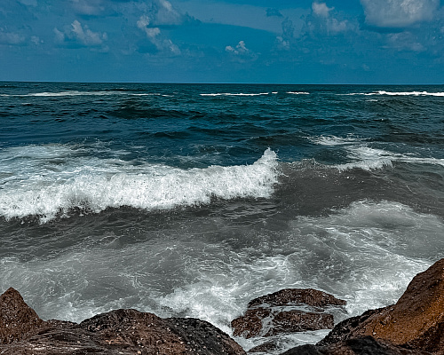 One month in SRI LANKA 2025