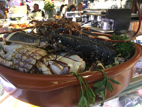 Trip SPAIN & FRANCE 2019