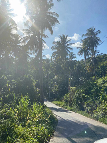 Trip BANGHOK & SAMUI 2020