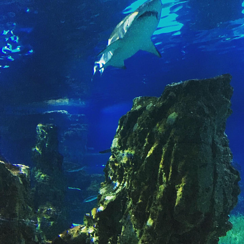 Trip SPAIN & FRANCE 2019