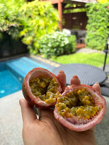 Flirt Summit THAILAND 2022